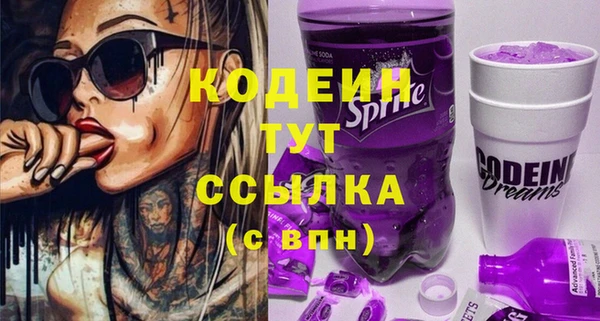 дживик Абаза