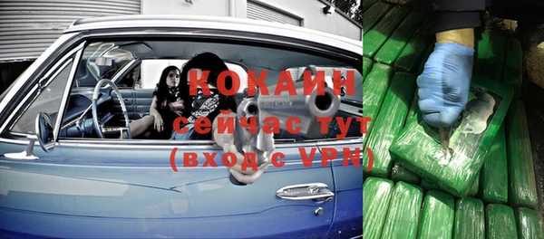 дживик Абаза