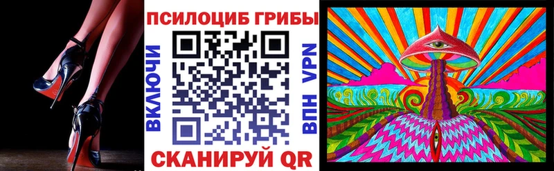Псилоцибиновые грибы Cubensis  Хасавюрт 