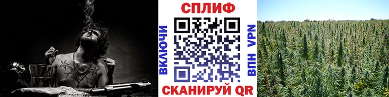 нарко площадка состав  Хасавюрт  Бошки марихуана VHQ 